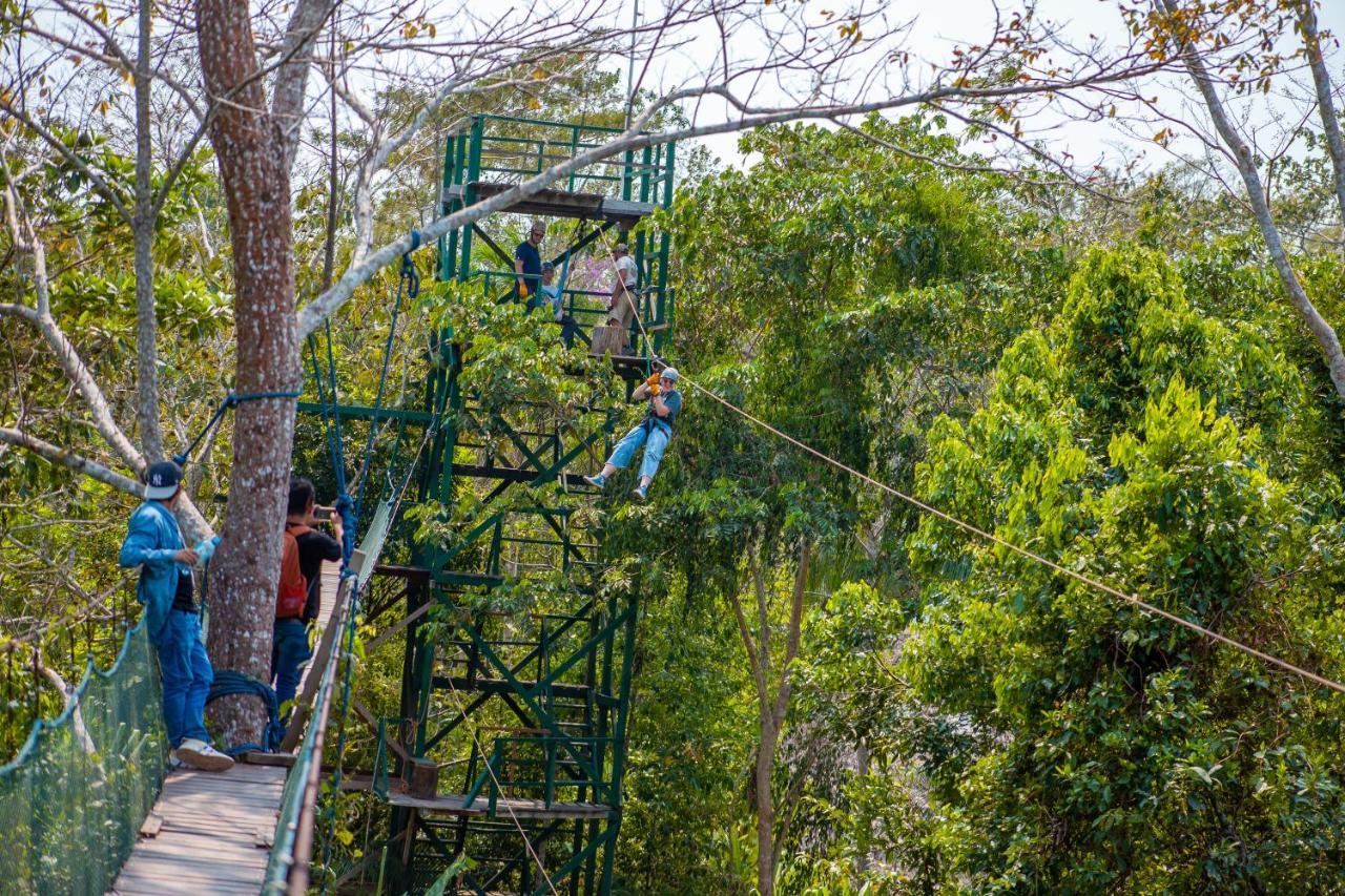Tronco Tambopata Adventure Hotel Puerto Maldonado Exterior foto