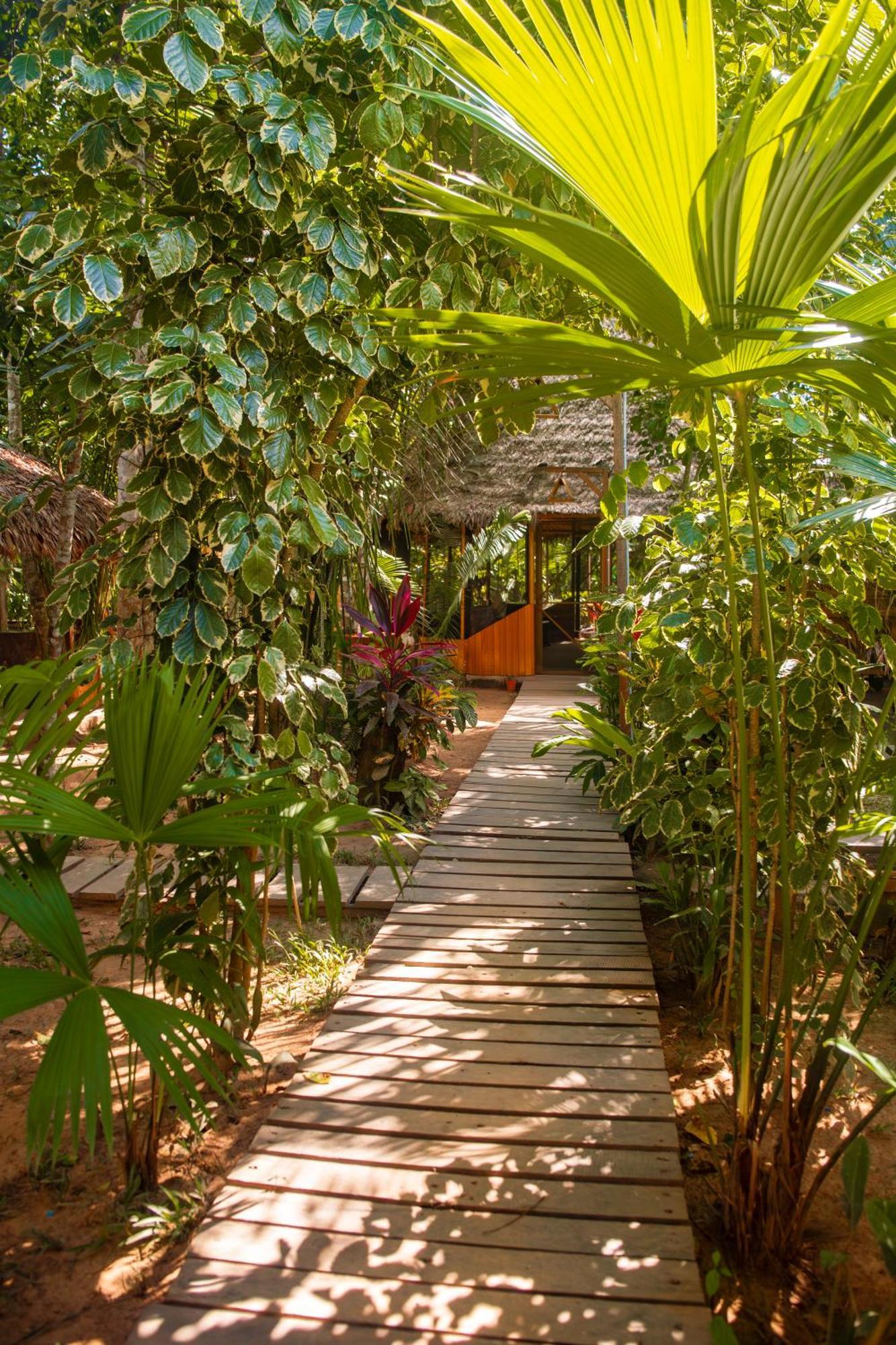 Tronco Tambopata Adventure Hotel Puerto Maldonado Exterior foto